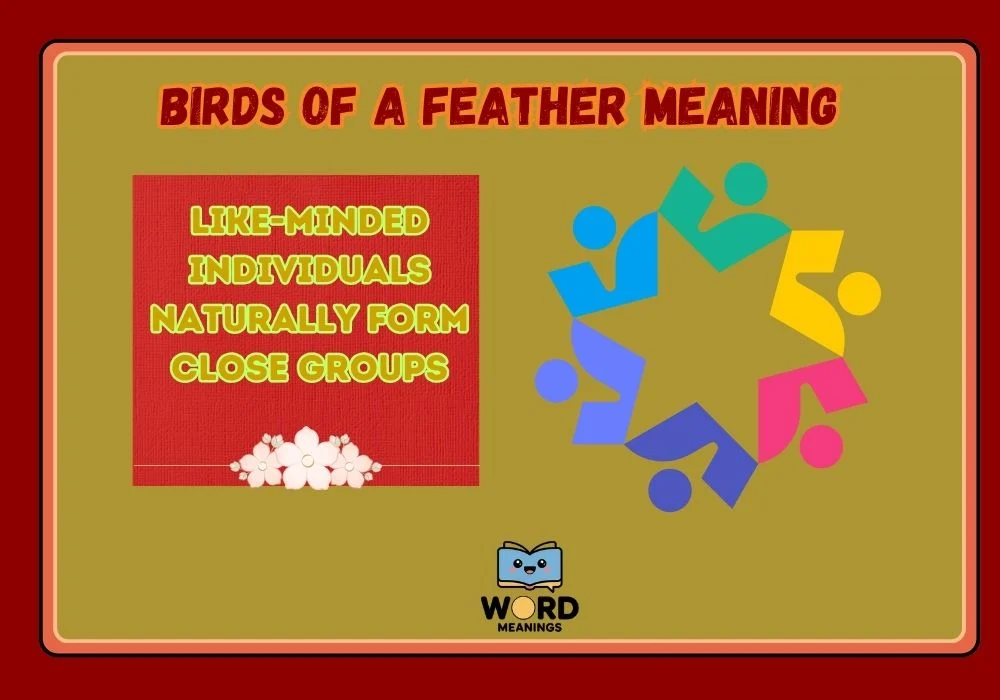 Birds of a Feather Meaning