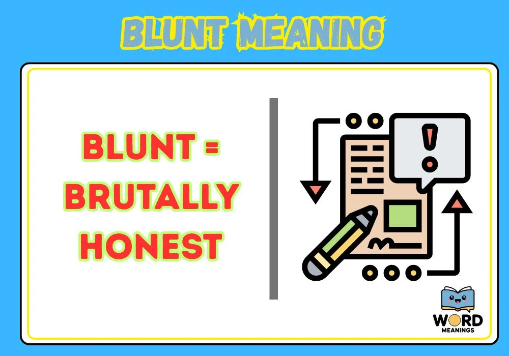 Blunt Meaning