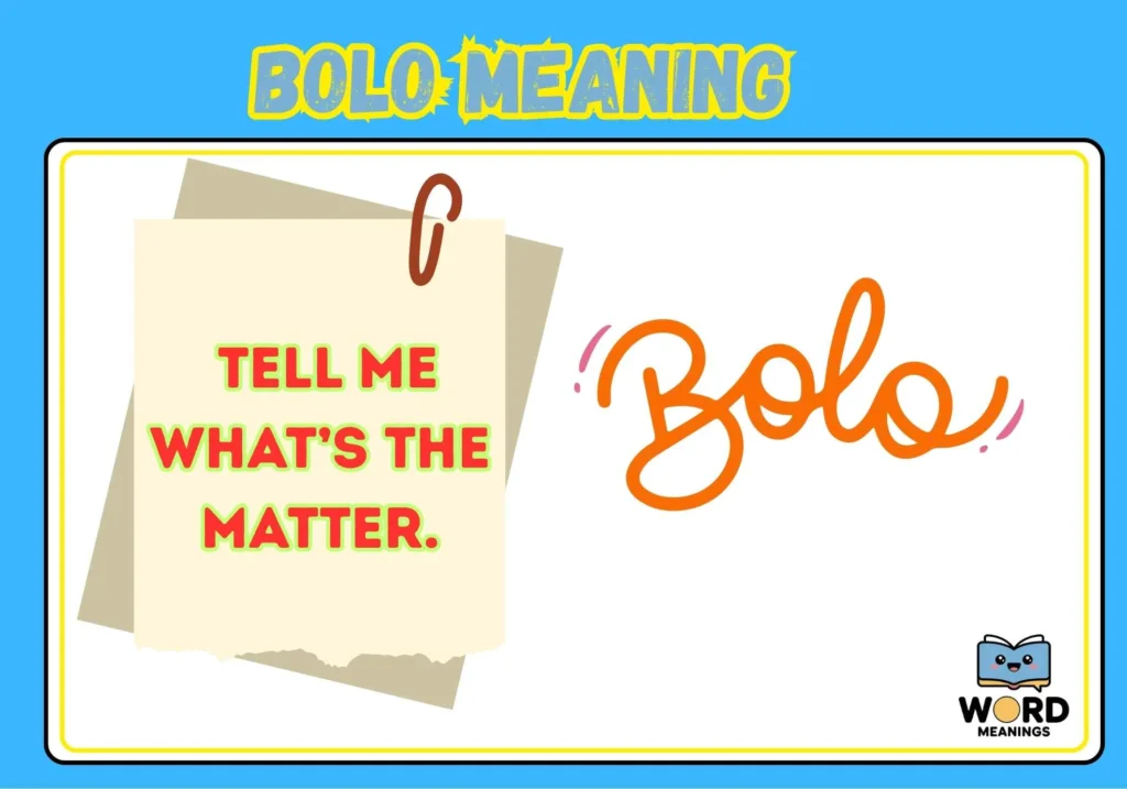 Bolo Meaning