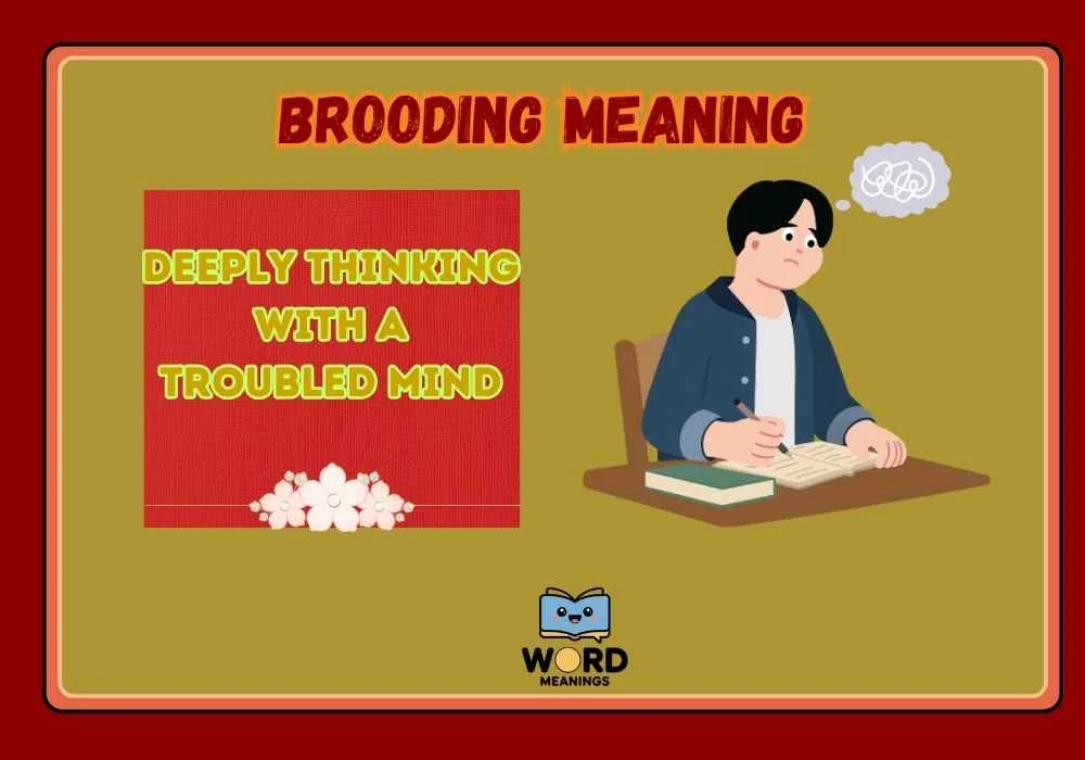 Brooding Meaning