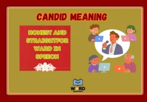 Candid Meaning