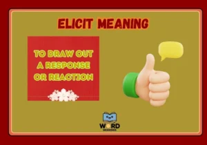 Elicit Meaning