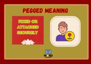 Pegged Meaning