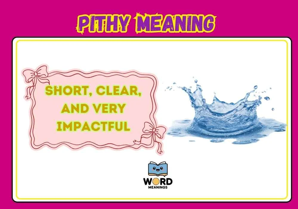 Pithy Meaning