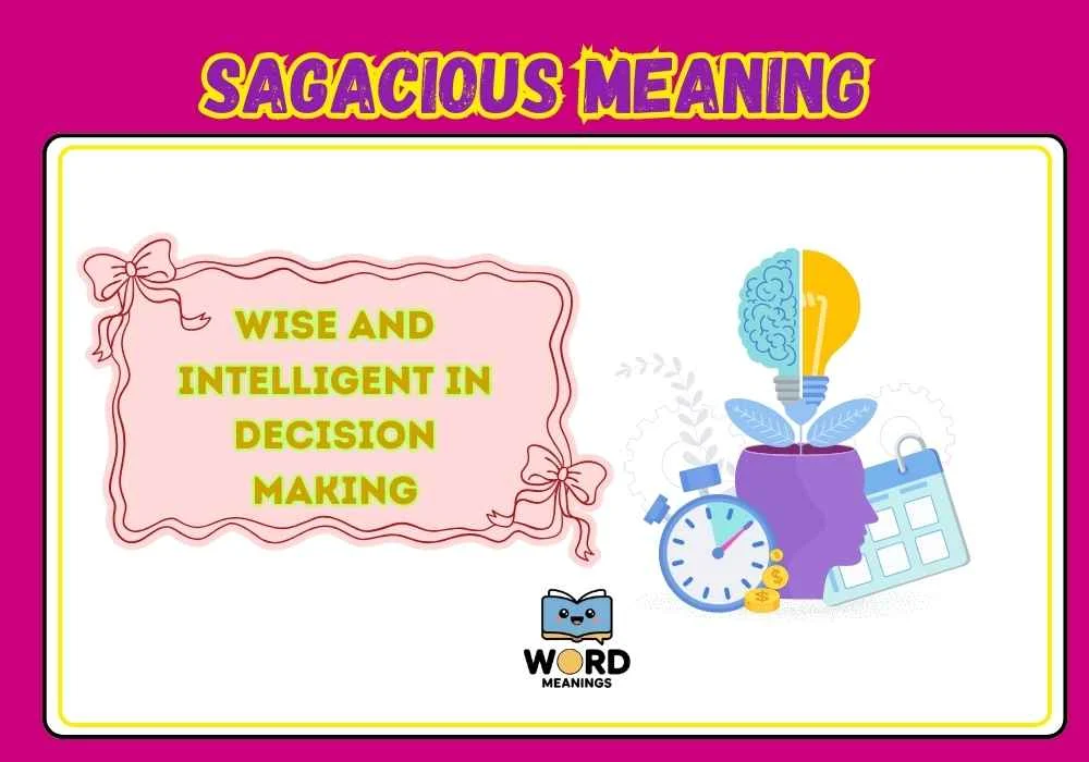 Sagacious Meaning