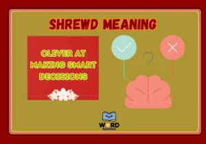 Shrewd Meaning