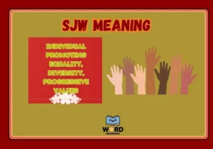 SJW Meaning