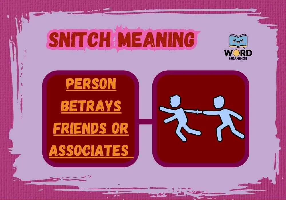 Snitch Meaning