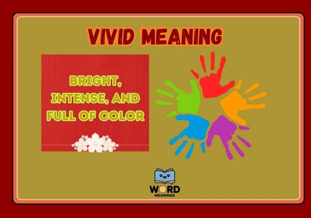 Vivid Meaning