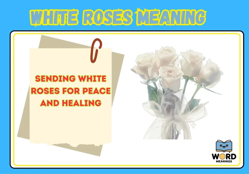 White Roses Meaning
